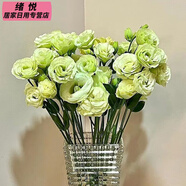全色系稀有洋桔梗無刺玫瑰鮮花花束云南直發(fā)插花洋玫瑰花束混搭 綠色洋桔梗(15-20朵花) 收藏商品送保鮮劑(花壞按比例賠