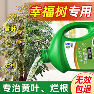 領(lǐng)沃植物通用營(yíng)養(yǎng)液花肥料家用濃縮盆栽發(fā)財(cái)樹富貴竹綠蘿多肉水培花卉 【幸福樹專用營(yíng)養(yǎng)液】2500ml*1瓶