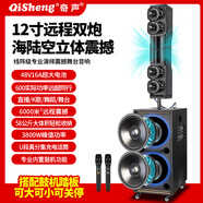 奇聲LX-911雙十二寸線(xiàn)陣大功率無(wú)線(xiàn)拉桿音箱帶無(wú)線(xiàn)話(huà)筒移動(dòng)拉桿音箱廣場(chǎng)舞音響便攜式 LX-911雙話(huà)筒【單】