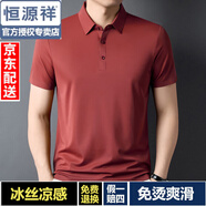 恒源祥輕奢含桑蠶絲短袖T恤男無痕免燙彈力商務(wù)冰絲Polo衫半袖上衣服男 磚紅 XL 175