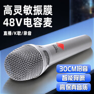 depusheng電容麥克風(fēng) 48V聲卡話筒錄音唱歌直播主播K歌教學(xué)配音有聲書喊麥?zhǔn)找粲螒蜾浺襞锔弑Ｕ鎂300白色