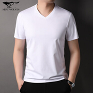 七匹狼夾克專(zhuān)家5A短袖T恤男2025夏季V領(lǐng)薄款棉麻半袖絲光棉休閑男裝亞麻體恤 漂白色 S 165