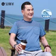 寶財(cái)羊中老年人爸爸裝冰絲短袖t恤男夏季圓領(lǐng)寬松半袖上衣服父親節(jié)禮物