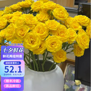 富達(dá)達(dá)【金輝瓣間】玫瑰鮮花七夕節(jié)家居裝飾辦公室水養(yǎng)插花云南基地直發(fā) 【金輝瓣間】第一單價格 60-70cm 20枝/扎【兩單東券特惠裝】