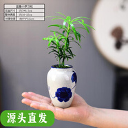 羅漢松盆栽中式綠植室內(nèi)辦公室茶幾客廳面小盆景好養(yǎng)書房擺件 羅漢松面小品藍墨小+09鏤空座 含盆