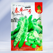 大禹特大蠶豆種子本地早熟農(nóng)科院糯米胡豆南北方夏秋季菜籽 春蠶一號蠶豆種子 500g特大