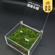 開時果 生命之樹創(chuàng)意微景觀 生態(tài)瓶禮物盆栽桌面綠植盆景源頭直發(fā)包郵 有塊小地【贈小噴壺】