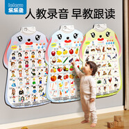 樂(lè)樂(lè)魚(yú)（leleyu）卡通兔有聲早教掛圖兒童玩具寶寶識(shí)字表墻貼3張男孩女孩生日禮物