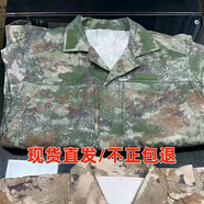 新款新式可交冬季夏季套裝迷彩耐磨耐臟舒適套裝男士春秋透氣工裝 新式叢林夏（上衣+褲子） 170/84-88