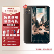 【第三方屏幕】Apple 蘋果11 iPhone 11 二手手機 二手蘋果手機  全網(wǎng)通 雙卡雙待 蘋果11 黑色【爆款顏色】 8成新【第三方屏幕】 【普通標準版】 64G
