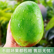 博多客正宗四川攀枝花凱特芒果青皮大芒果新鮮水果當(dāng)季整箱特大凱特芒 9斤一級(jí)中果（約15個(gè)）
