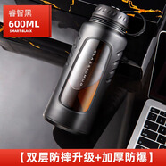 天喜（TIANXI）玻璃杯塑玻杯男女士泡茶杯茶水分離杯便攜辦公室水杯 睿智黑600ML【雙層防摔升級】