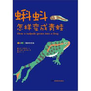 蝌蚪怎樣變成青蛙 [英]大衛(wèi)·斯圖瓦特羅凡[英]卡洛琳·富蘭克林 繪 湖南教育出版社