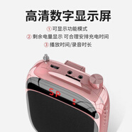 紐曼K30小蜜蜂擴音器教師麥克風(fēng)講課大喇叭音箱唱戲機fm收音 玫瑰金標配+充電器