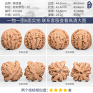 DL 1998胖東來品質(zhì)白獅子文玩核桃蘋果園磨盤宮燈四座樓野生小眾南疆石核 A71682 老樹原色獅虎獸45mm