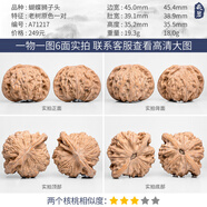 胖東來品質(zhì)文玩核桃蘋果園磨盤宮燈四座樓白獅子野生小眾南疆石核 A71217 老樹原色蝴蝶獅子頭45mm