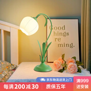 惠普時(shí)尚家田園風(fēng)網(wǎng)紅同款復(fù)古花朵床頭臺(tái)燈為少女臥室營(yíng)造浪漫美式ins風(fēng) 1004臺(tái)燈綠色-15*15*47cm-E27*1
