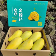 海南金煌芒澳芒三亞新鮮熱帶水果送人情人節(jié)禮盒年貨順豐發(fā)貨現(xiàn)摘 10斤 十斤裝含禮盒