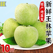 桃西村青蘋果王林10斤大果現(xiàn)摘整箱當(dāng)季脆甜水果青森丑萍果時(shí)令 5斤 70mm含-75mm(不含)