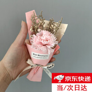 皓梵潔小花束迷你口袋花束手捧花玫瑰干花假花永生花七夕情人節(jié)禮物鮮花 口袋里的浪漫【康乃馨一束】