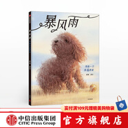暴風雨【繪本3-6歲】郭婧 著 獨生小孩作者新書 中信出版社圖書