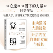 覺照 人生開悟的12個關鍵 內觀自我與世界的智慧 覺照 內觀 開悟 當下的力量 心流 正念 中信出版社
