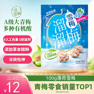 溜溜梅薄荷雪梅 孕婦兒童休閑零食小包裝零食即食果干100g/袋