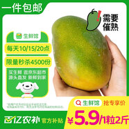 京鮮生 好大一顆凱特芒 1粒2斤巨無霸 生鮮水果 源頭直發(fā)【搜生鮮館】