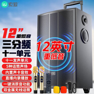 索愛（soaiy）SA-X62舞臺(tái)級(jí)12吋大功率重低音廣場(chǎng)舞電木吉他樂器音箱網(wǎng)紅直播戶外藍(lán)牙拉桿聲卡話筒
