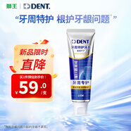 獅王（Lion）DENT HEALTH專研特護牙膏90g牙周緊致牙齦緩解出血草本薄荷香型