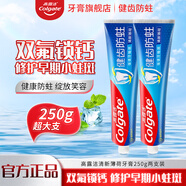 高露潔健齒防蛀牙膏勁爽清新薄荷強(qiáng)健牙釉質(zhì)雙氟配方家庭裝 健齒防蛀250g*2支【清新薄荷】