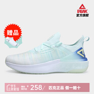 匹克（PEAK）態(tài)極4.0水盾運動鞋男 太極新款輕量零感跑鞋男女情侶鞋跑步鞋子 島綠（男） 42