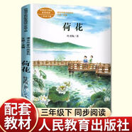 調(diào)皮的日子秦文君春風(fēng)文藝出版社 三年級(jí)下冊(cè)必讀課外書(shū)全套3冊(cè) 荷花(人教版)【三年級(jí)下冊(cè)】 【100%官方正版-環(huán)保印刷健康閱
