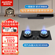 澳柯瑪吸油煙機 廚房抽油煙機家用20立方大吸力 爆炒歐式抽油煙機 自清潔 揮手智控 煙機油煙機T319D 【套裝】爆吸歐式丨雙九頭猛火灶丨天然氣306B