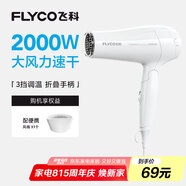 飛科（FLYCO）電吹風(fēng)機(jī)家用發(fā)廊大功率2000W速干恒溫便攜可折疊白色FH6232