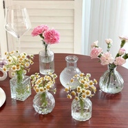 法式田園風(fēng)迷你浮雕透明玻璃小花瓶玫瑰康乃馨小支插花瓶客廳桌擺 精美六件套