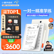 小猿學(xué)練機(jī)S2 旗艦款 猿輔導(dǎo)AI學(xué)習(xí)機(jī) 10.3英寸墨水屏 2025煥新升級版  輔導(dǎo)機(jī)學(xué)習(xí)平板