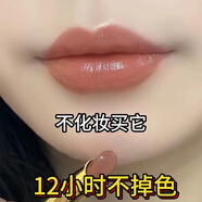 蘭奕李佳琪推薦口紅不掉色不沾杯口紅顯白滋潤防水不脫色素顏?zhàn)匀粏」?S03#肉桂奶茶 95%的人選擇