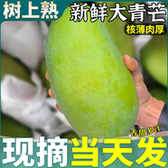 【京東物流】精品大果大青芒鮮果芒果新鮮水果10斤生吃酸脆青皮金 9斤 5A【精品果王】掌柜甄選，個(gè)個(gè)精