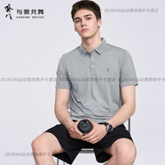 與狼共舞（DANCING WOLVES）【透氣孔】翻領(lǐng)短袖T恤男2025夏季新款高彈網(wǎng)眼涼感POLO 淺灰005 2XL 185/100A