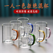 青蘋果【采銷推薦】玻璃杯帶把手高硼硅耐高溫待客泡茶杯家用喝水杯套裝 加厚簡約杯6色裝 300ml