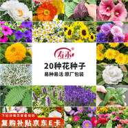 壽禾 花種子苗薄荷波斯菊太陽花格?；ㄏ蛉湛ǚN籽 20種花草種子套餐