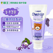 獅王（Lion） DENT齒科級 兒童牙膏60g 低氟低研磨低發(fā)泡天然木糖醇【葡萄味】