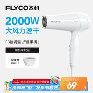 飛科（FLYCO）電吹風(fēng)機家用發(fā)廊大功率2000W速干恒溫便攜可折疊白色FH6232