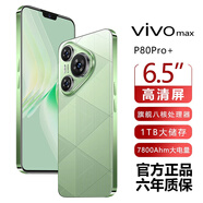 vivomax新品1TB大內存7800mAh快充長(cháng)續航驍龍8電競學(xué)生全新原裝正品手機 香頌綠 16G運行+1TB（1024G）內存 官方標配