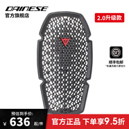 DAINESE/丹尼斯PRO-ARMOR摩托車背板護(hù)胸護(hù)髖機(jī)車騎行護(hù)具裝備通風(fēng)透氣 PRO-ARMOR G2 2.0升級款護(hù)背 均碼