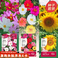 壽禾 花種子苗套裝四季種易成活室內盆栽花草種籽 爆花三件套