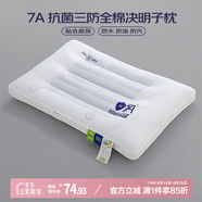 艾薇 A類全棉抗菌決明子防污防水防油枕芯單人纖維枕48*74cm 三防枕