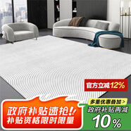 七棉水晶絨客廳地毯 耐臟防滑易打理 極簡線條 現(xiàn)代簡約 200*300cm