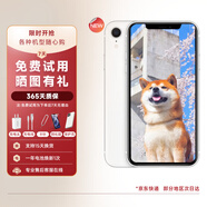【白條免息】蘋果xr Apple iPhone XR 雙卡雙待 二手手機(jī) 全面屏 二手蘋果XR 蘋果xr【顏色隨機(jī)】 128G【更換100%電池+閃充20W】95靚機(jī)